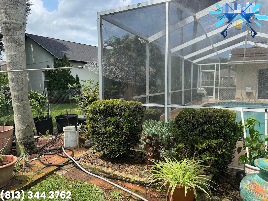 Clean Pool Enclosure and Revitalized Driveway & Walkway in Trinity, FL